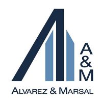 integrityline-partner-alvarez-marsal integrityline-partner-alvarez-marsal